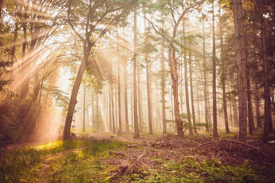 朱婷在意甲联赛单场斩获三十八分